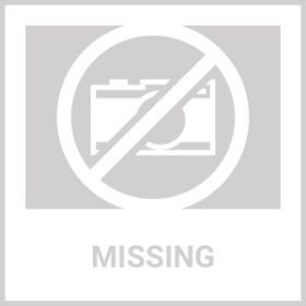 10x30ft Dark Grey, No Fence, Folding Shed Oxford Cloth White Spray Plastic Frame With 8 Sandbags With Tug Bag (Option: Dark Gray)